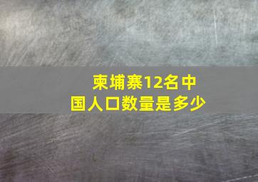 柬埔寨12名中国人口数量是多少