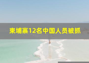 柬埔寨12名中国人员被抓