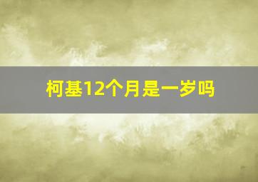 柯基12个月是一岁吗