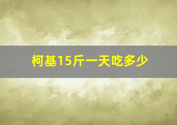 柯基15斤一天吃多少