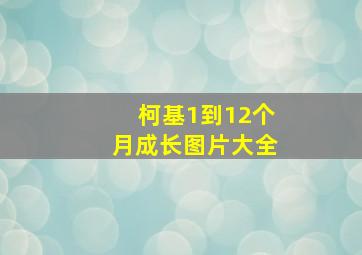 柯基1到12个月成长图片大全