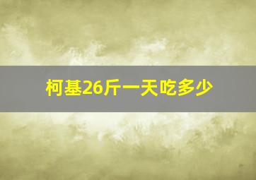 柯基26斤一天吃多少