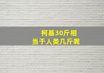 柯基30斤相当于人类几斤呢