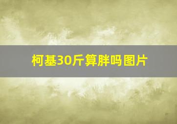 柯基30斤算胖吗图片