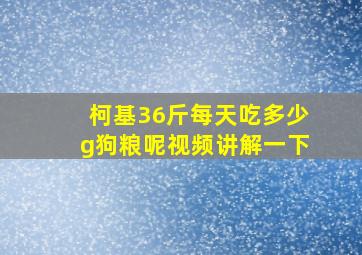 柯基36斤每天吃多少g狗粮呢视频讲解一下