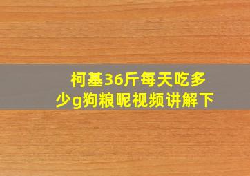 柯基36斤每天吃多少g狗粮呢视频讲解下