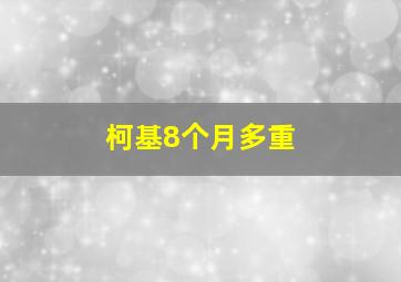 柯基8个月多重