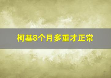 柯基8个月多重才正常