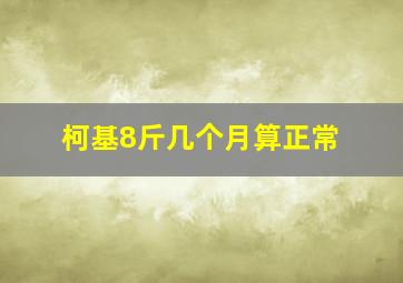 柯基8斤几个月算正常