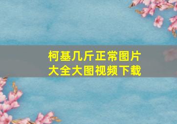 柯基几斤正常图片大全大图视频下载