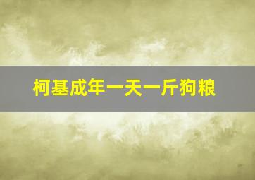 柯基成年一天一斤狗粮