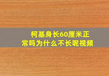 柯基身长60厘米正常吗为什么不长呢视频