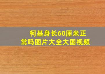 柯基身长60厘米正常吗图片大全大图视频