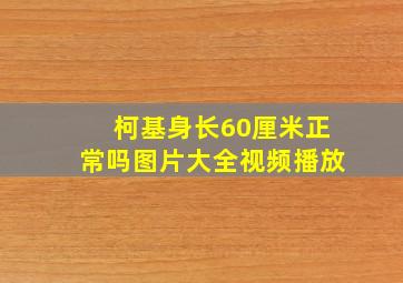 柯基身长60厘米正常吗图片大全视频播放