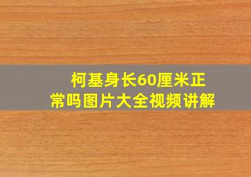 柯基身长60厘米正常吗图片大全视频讲解