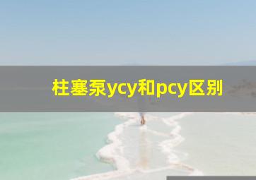 柱塞泵ycy和pcy区别