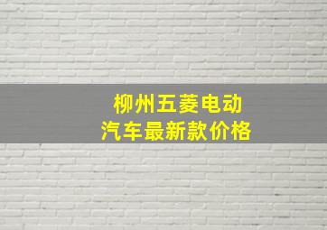 柳州五菱电动汽车最新款价格