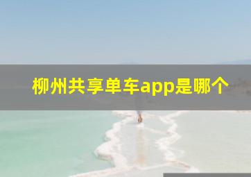 柳州共享单车app是哪个