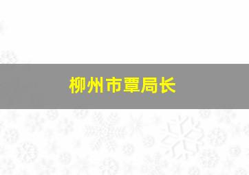 柳州市覃局长