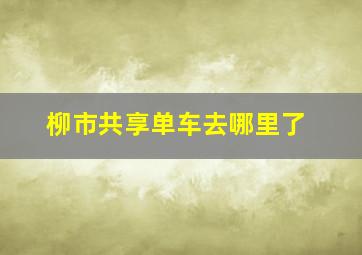 柳市共享单车去哪里了