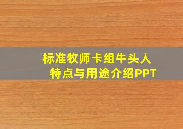 标准牧师卡组牛头人特点与用途介绍PPT