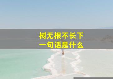 树无根不长下一句话是什么