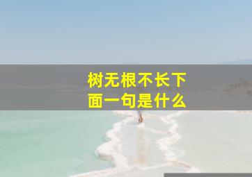 树无根不长下面一句是什么