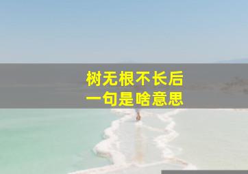 树无根不长后一句是啥意思