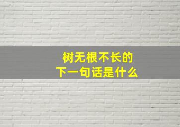 树无根不长的下一句话是什么