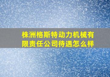 株洲格斯特动力机械有限责任公司待遇怎么样