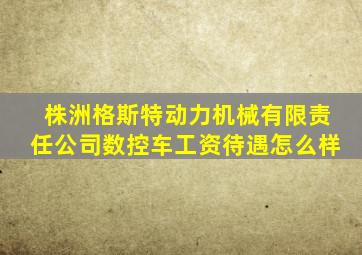 株洲格斯特动力机械有限责任公司数控车工资待遇怎么样