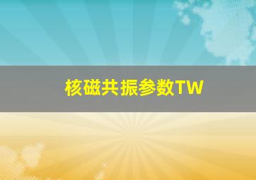 核磁共振参数TW