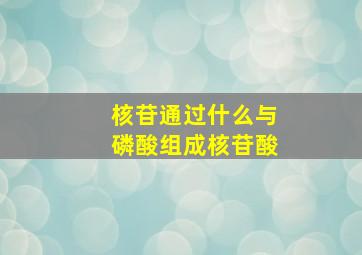 核苷通过什么与磷酸组成核苷酸