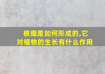 根瘤是如何形成的,它对植物的生长有什么作用