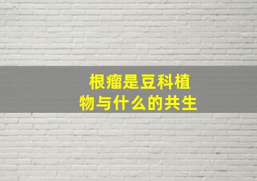 根瘤是豆科植物与什么的共生