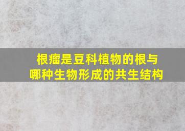 根瘤是豆科植物的根与哪种生物形成的共生结构