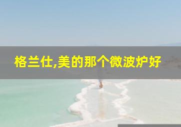 格兰仕,美的那个微波炉好