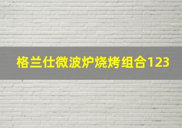 格兰仕微波炉烧烤组合123