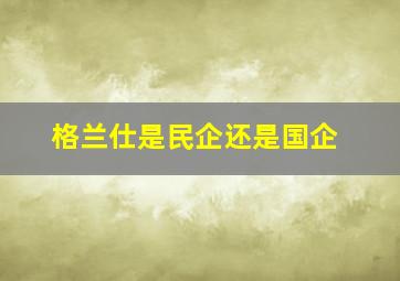 格兰仕是民企还是国企