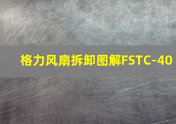 格力风扇拆卸图解FSTC-40