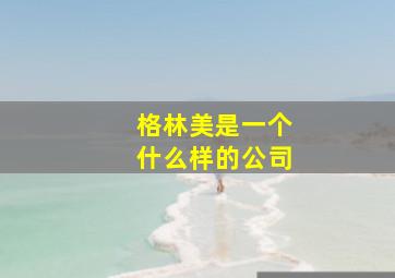 格林美是一个什么样的公司