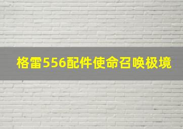 格雷556配件使命召唤极境