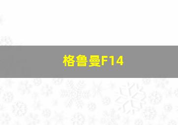 格鲁曼F14