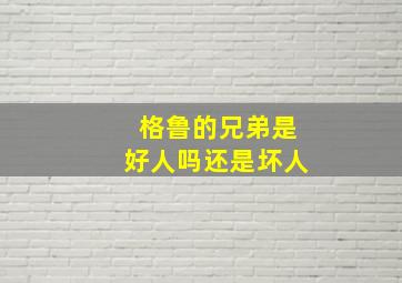 格鲁的兄弟是好人吗还是坏人