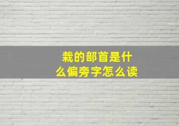 栽的部首是什么偏旁字怎么读