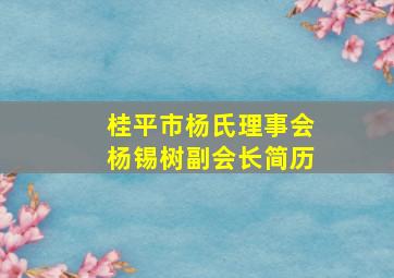 桂平市杨氏理事会杨锡树副会长简历