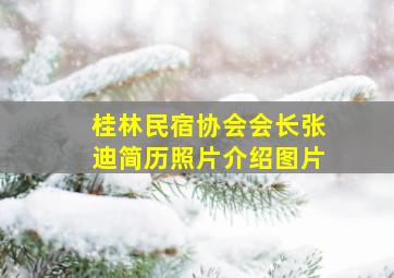 桂林民宿协会会长张迪简历照片介绍图片