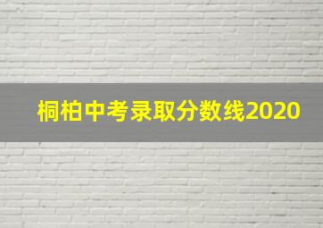 桐柏中考录取分数线2020