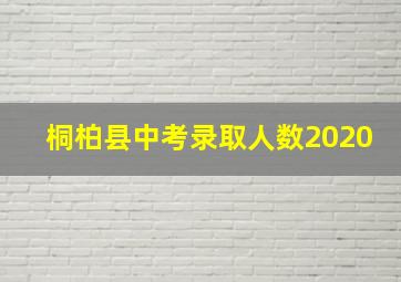 桐柏县中考录取人数2020