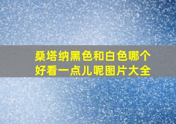 桑塔纳黑色和白色哪个好看一点儿呢图片大全